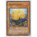 Yu-Gi-Oh! - Burning Algae - Invasion of Chaos (IOC-062) - Common