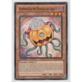 Yu-Gi-Oh! - Pumprincess The Princess of Ghosts - Shadow Specters (SHSP-EN032) - Common- 1st Edition