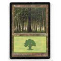 Magic The Gathering 1997 - Forest Land - Common - Portal