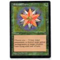 Magic The Gathering 1996 - Emerald Charm - Common - Visions