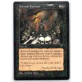 Magic The Gathering 1996 - Infernal Harvest - Common - Visions