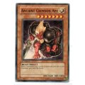 Yu-Gi-Oh! - Ancient Crimson Ape - 1st Ed/Common - Ancient Prophecy (ANPR-EN038)