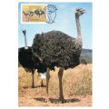 1985 South-West Africa The Ostrich Postcard Set #14 - 17 Set