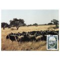 1986 South-West Africa The Karakul Industry Postcard #38 - 41 Set