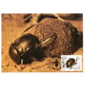 1987 South-West Africa Useful Insects Postcard #50 - 53 Set