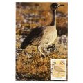 1988 South-West Africa Birds Postcard #74 - 77 Set