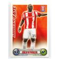 Topps Match Attax PL 2008/2009 - Stoke City - 16 Cards