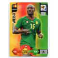Panini FIFA World Cup 2010 / XL Adrenalyn - Cameroun - 2 Cards