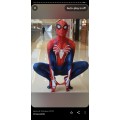 Ps4 Spiderman Adult Costume