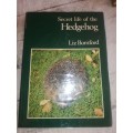 Secret life of the Hedgehog