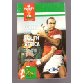 Wales versus South Africa 26 November, 1994, Official Programme