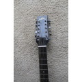 Aria 12 String Guitar