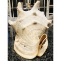 Scarce Large Conch Shell