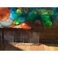 Hamster cage with many accessories - excellent