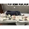 Cricket kit - various items with bag