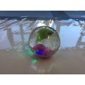 New bouncing ball with glitter ....
