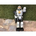 Large robot - about 30 cm or taller - very nice