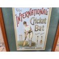 Lovely cricket frame