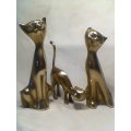 3 Awesome Old solid Brass Cat's .Tall one is 185mm Tall,middle one 165mm Tall, small one 137mm Tall.