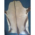 A Large African Gemsbok ( Oryx ) Hide and a Springbok smaller mat in good second hand condition.