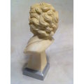 Awesome Collectible Bust of L.V. Beethoven. Ideal for display on the Grand Piano to impress Freinds