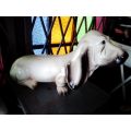 Unique Vintage Basset Hound, dog ceramic figurine. In good all round condition.