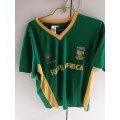 Proteas Cricket World Cup 2011 Supporters Jersey (L) in great condition