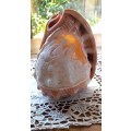 Vintage Italian, Cameo night light `lamp -shade`, hand carved from conch shell. 1950-1970`s