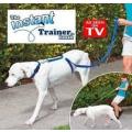 THE INSTANT TRAINING LEASH