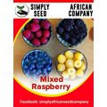 Mixed Raspberry Seeds