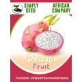 Dragon Fruit Seeds