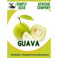 Chinese Guava (White) Seeds