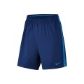 Original Mens NIKE DRI FIT Squad Shorts - Large - 807682-455