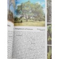 Field Guide to the Trees of the Kruger National Park / Piet van Wyk