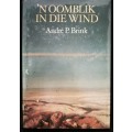`n Oomblik in die Wind / Andre P. Brink