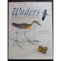 Waders of Southern Africa / Phil Hockey & Clare Douie