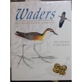 Waders of Southern Africa / Phil Hockey & Clare Douie