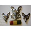 SA Intelligence Corps Chromed Cap & Collar Badges & Beret Bar No Bolts / Pins