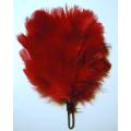 Transvaal Scottish Red Hackle