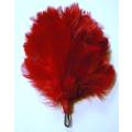 Transvaal Scottish Red Hackle