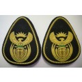 SANDF Warrant Officer Class I Rank Insignia Rubberised Pair Pins Intact