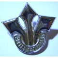 Corps of Professional Officers Chromed Cap Badge Dinnes 327