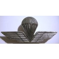 Italy Airborne Paratrooper Jump Wings Pins Intact 78mm x 36mm