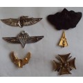 Collection of 6 Military Parachute Wing | Badges