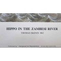 Hippo In The Zambezi River, Thomas Baines -  Numbered (150/850) Print - Collingwood Art Productions