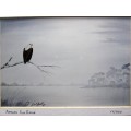 Lovely Lionel Ashley Numbered Art Print Framed In Board -Print Size 16,5cm/11cm -African Fish Eagle