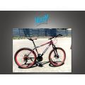 Off Road Mountain Bike 21 Speed Front Suspension hard Tail Disc Brakes (Front-Back)