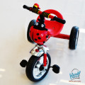 Arrow tricycle with bottle carrier