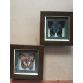 Set Of 4 Beautiful Butterfly Collection Framed In Stunning Wooden Casing - Decorative Wall Art