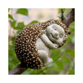 Sleeping Hedgehog Garden Ornament